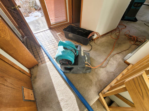 Best Flooded house restoration  in Peachtree City, GA