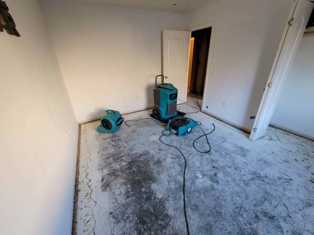 Best Sewage cleanup and water damage restoration  in Peachtree City, GA