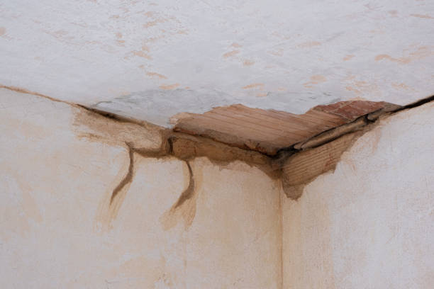 Best Professional water damage repair  in Peachtree City, GA