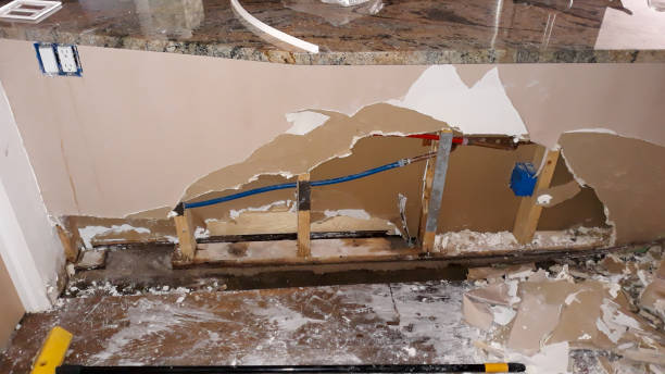 Best Fire Damage Restoration  in Peachtree City, GA