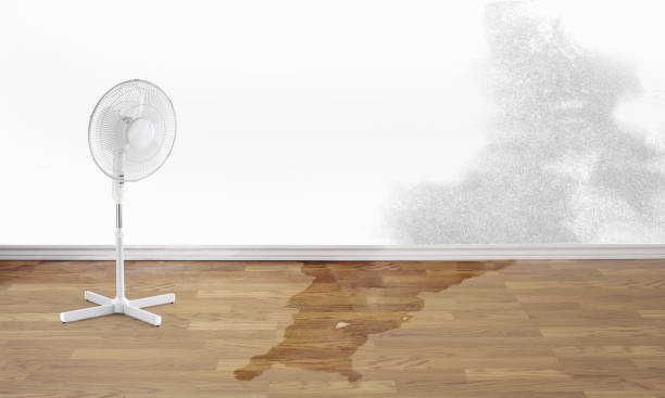 Best Water damage cleanup near me  in Peachtree City, GA