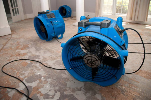 Best Water damage cleanup near me  in Peachtree City, GA