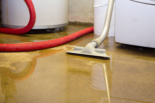 Best Carpet water damage restoration  in Peachtree City, GA