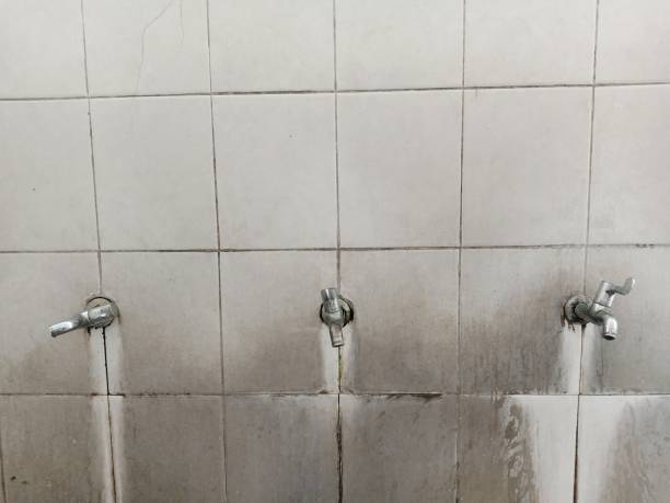 Best Mold removal after water damage  in Peachtree City, GA