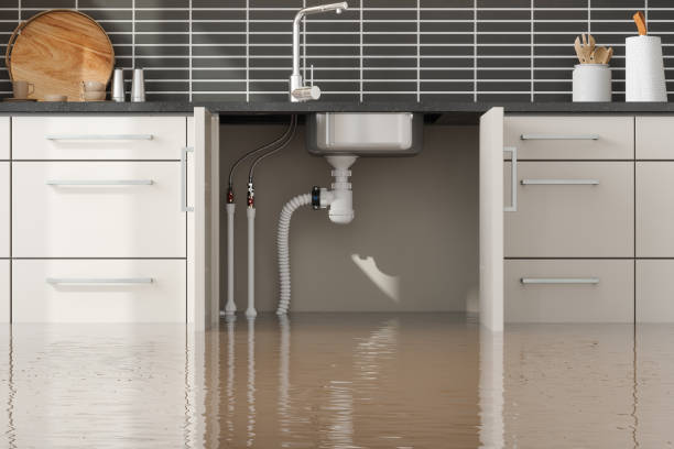 Best Mold removal after water damage  in Peachtree City, GA